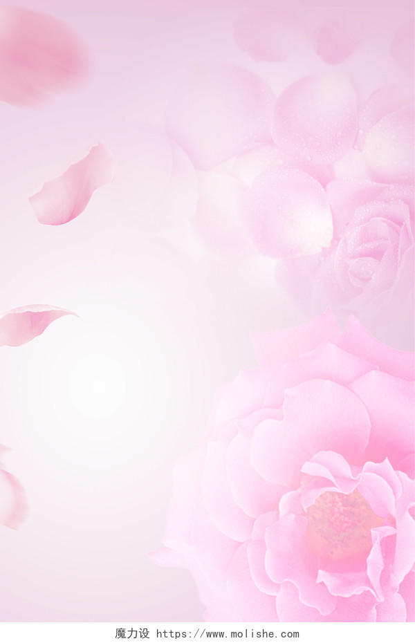 粉色背景玫瑰花花瓣背景素材